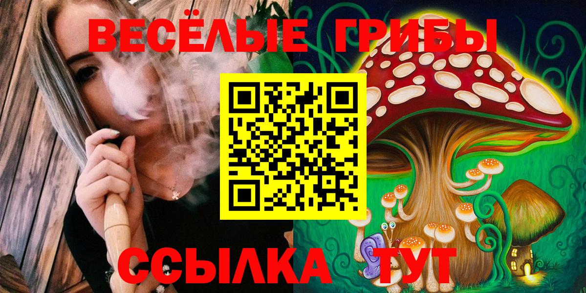 Псилоцибиновые грибы мухоморы  Псилоцибиновые грибы GOLDEN TEACHER  Вход с VPN  Шали 