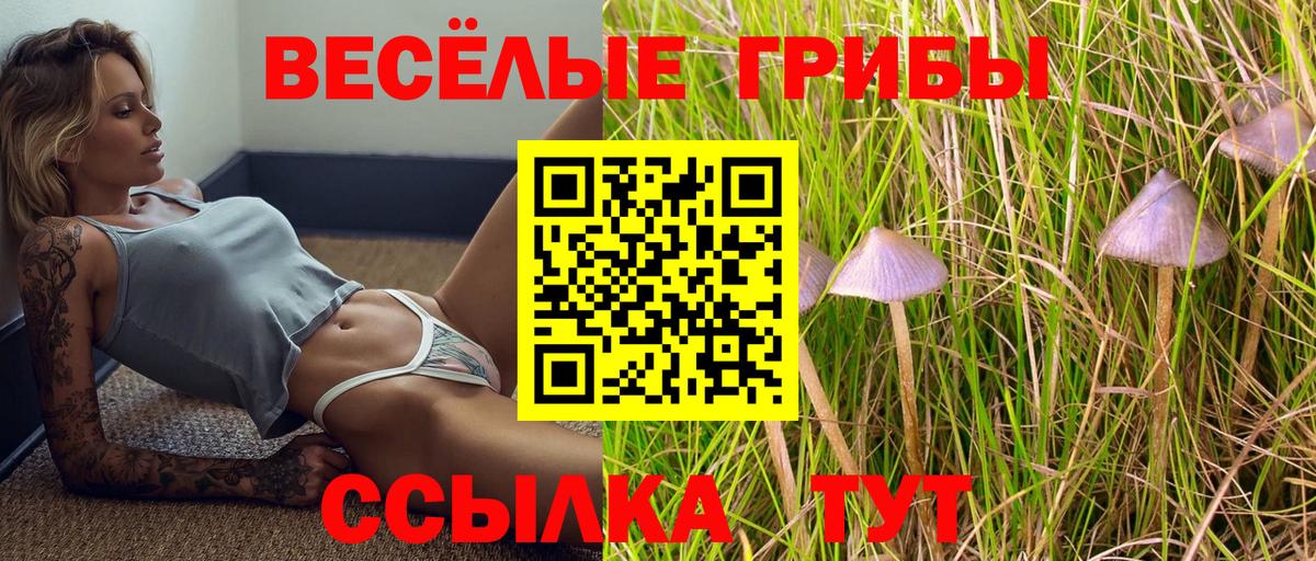 Галлюциногенные грибы Psilocybe Шали