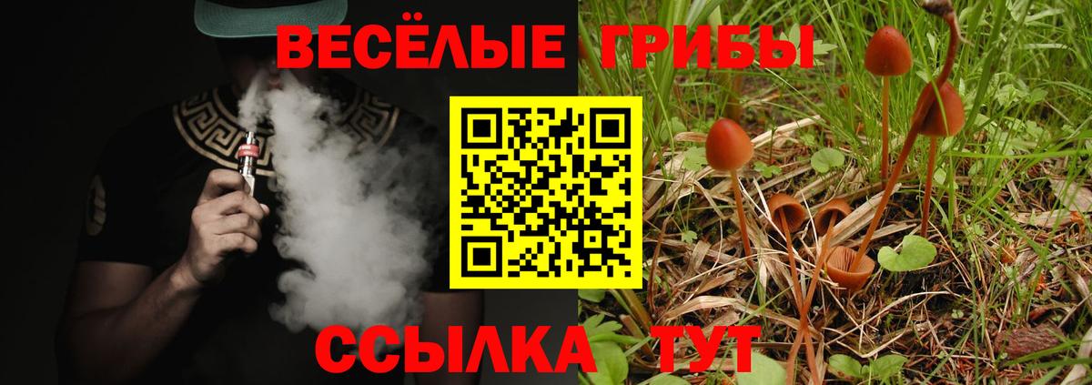 Псилоцибиновые грибы прущие грибы Шали
