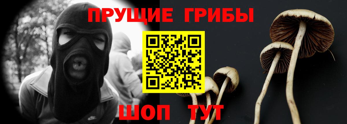 Псилоцибиновые грибы Magic Shrooms  Шали  Галлюциногенные грибы Psilocybe 